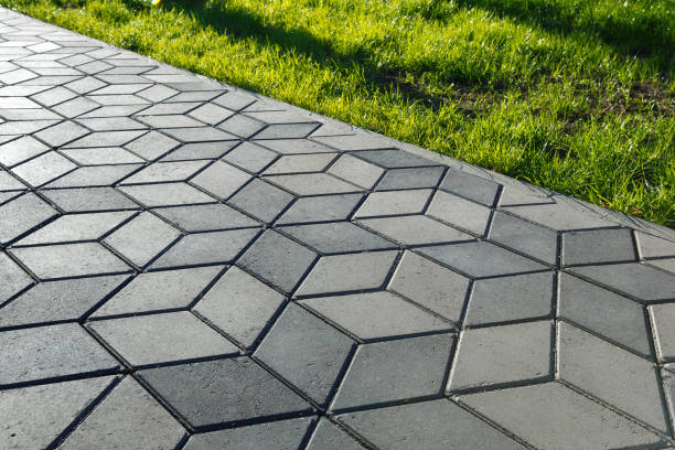 Best Driveway Pavers Near Me  in Crane, MO