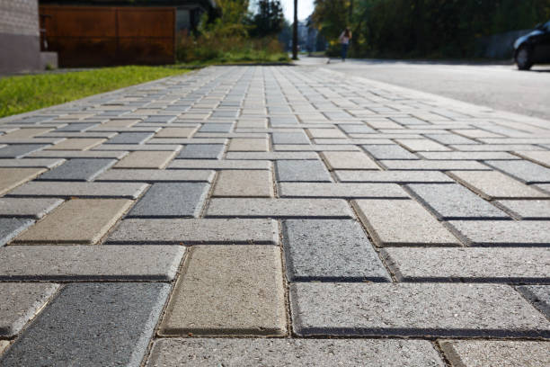 Best Driveway Pavers Near Me  in Crane, MO